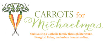 carrots for michaelmas